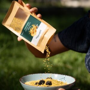 Polen poliflor liofilizat Dobrodulce punga 150g
